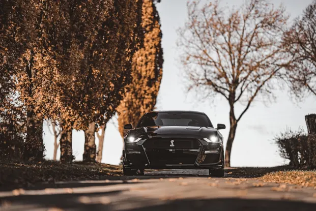 히포지노 카지노 안드로이드/iOS 앱